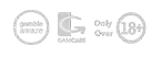 Ecwon Casino Copyright